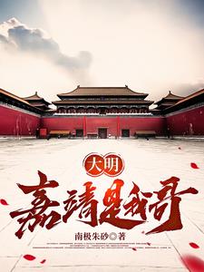 大明嘉靖瓷器价值